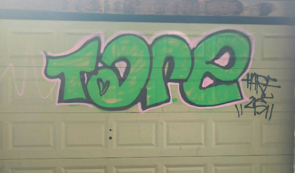 Help! I have to get rid of some graffiti on my garage door!