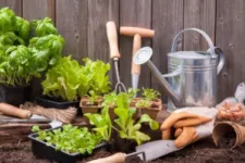 Start Your Spring Seedlings in the Garage