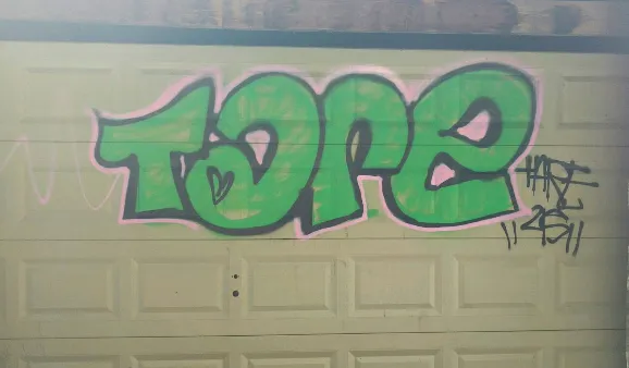 Help! I have to get rid of some graffiti on my garage door!